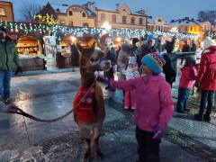 280. 16.12.2022 Otwarcie targów bożonarodzeniowych