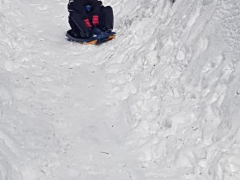 51985919_2055166054519508_3202332357541494784_n