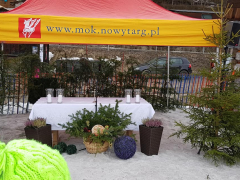53588187_2102335423135904_6955460989093412864_o