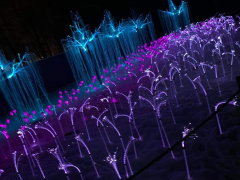 320650757_479211040962995_6368606482968009085_n