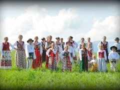 zd_22