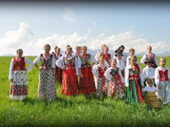zd_29