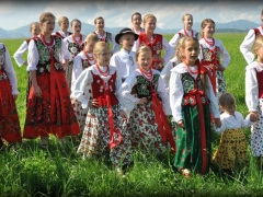 zd_9
