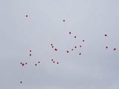 88002230_2783618848340888_5704840574914265088_n