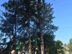 Park_trampolin26